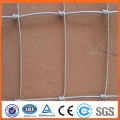 Galvanized Cattle Fence / Grassland Fence / Deer fence/ Horse fence/ Sheep fence(ISO certification)